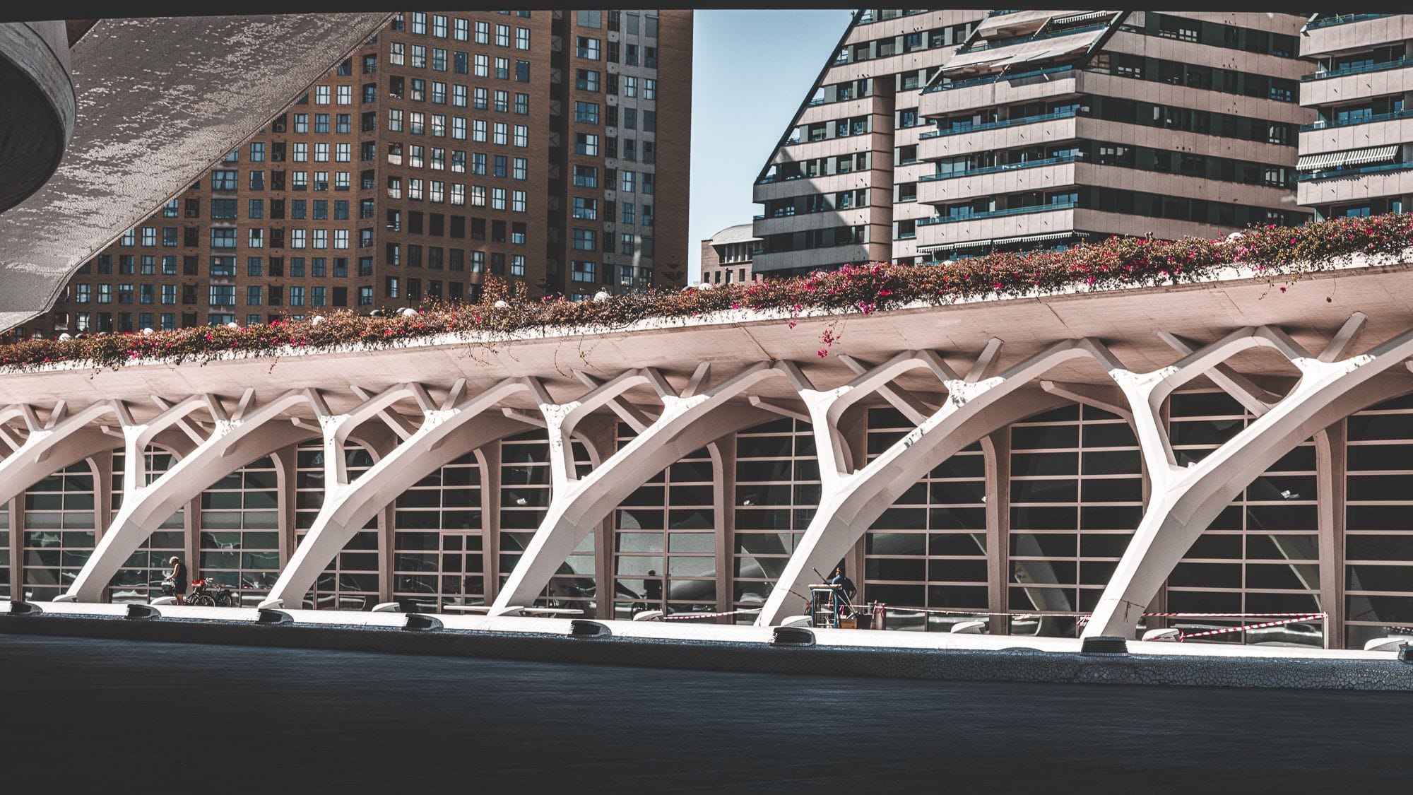 City of Arts and Sciences in Valencia, Spain — modern architecture reflected in water